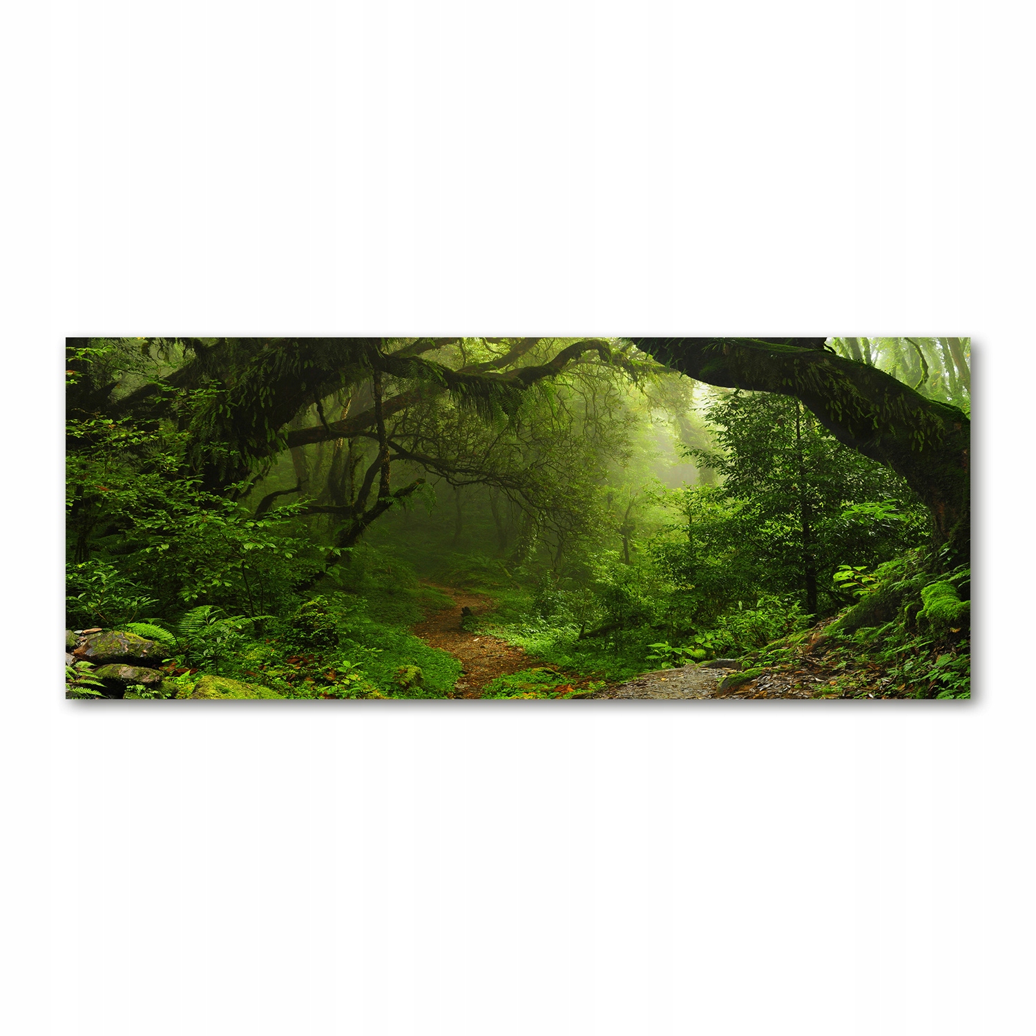 

Foto obraz szkło akryl Dżungla w Nepalu 125x50 cm