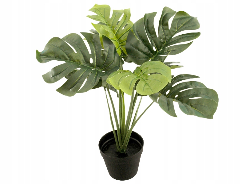 

Monstera w doniczce Sztuczna Roślina Liść 60cm
