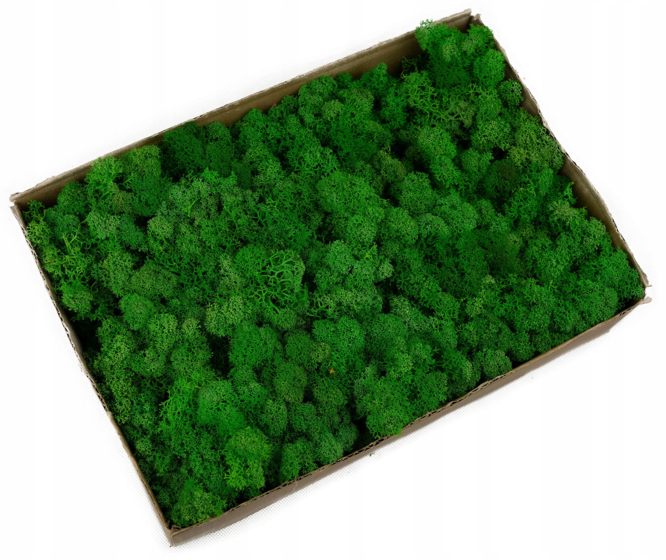 

Mech Chrobotek 500 Naturalna Zieleń 0.5kg