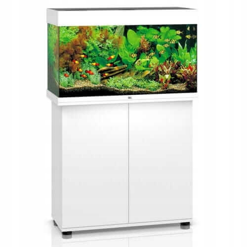 Juwel Rio 125 Led Akwarium Zestaw Biały Szafka