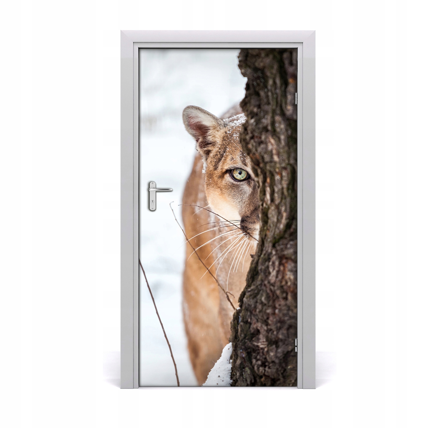 

Fototapeta samoprzylepna na drzwi Puma Górska