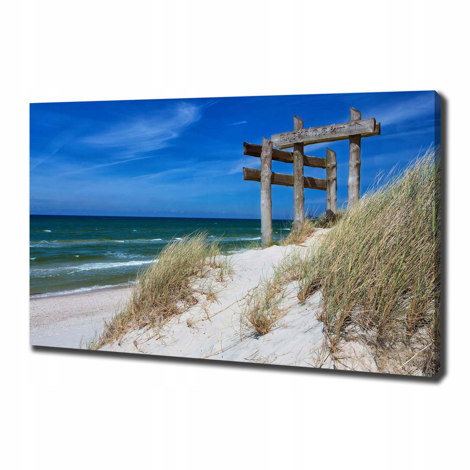 

Foto obraz na płótnie Nadmorskie wydmy 100x70 cm