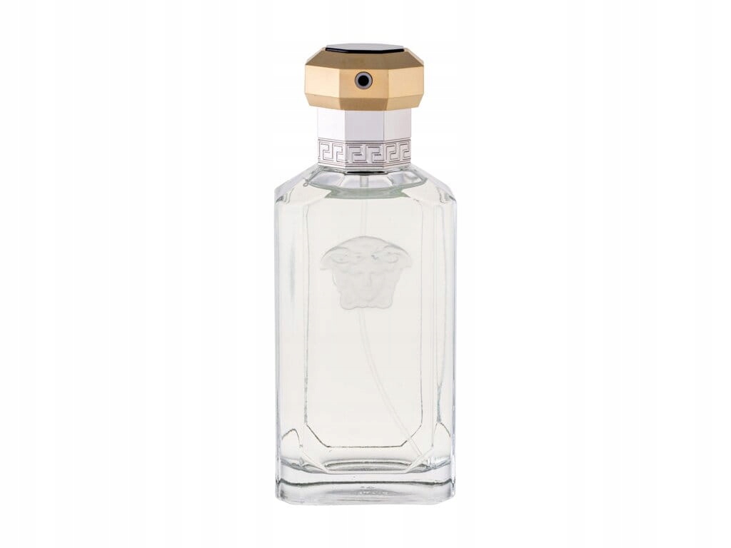 Versace Dreamer Toaletní voda 100 ml