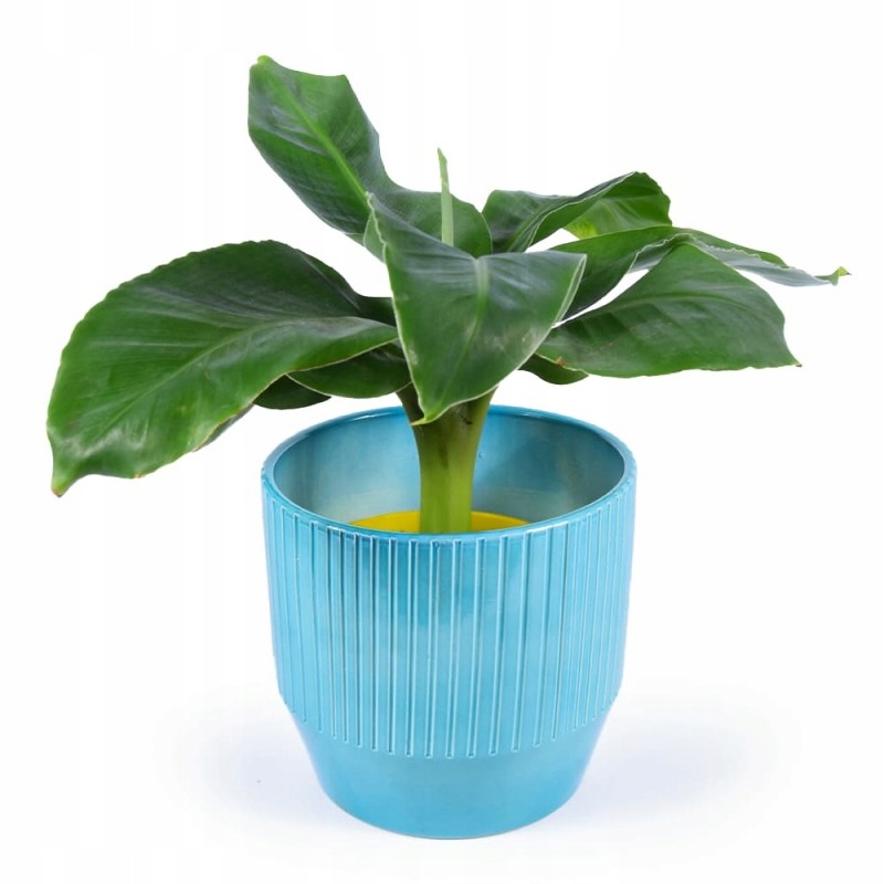 Osłonka Frezowana Lazur Materiał ceramika