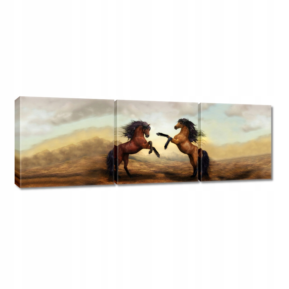 

Obrazy 150x50 Dwa Konie