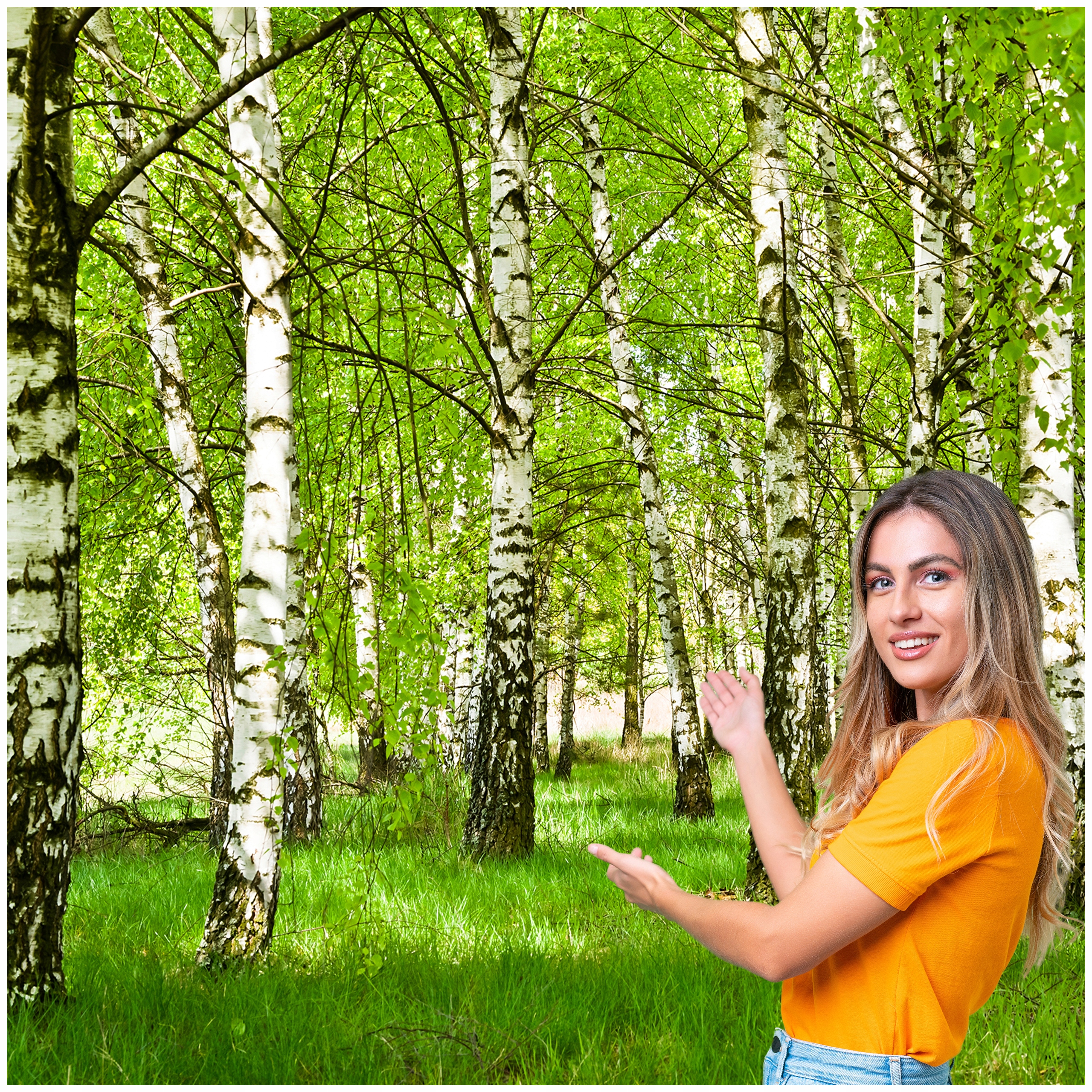 3D fototapeta Salon Spálňa Breza Les Stromy 294x260 BLD02F