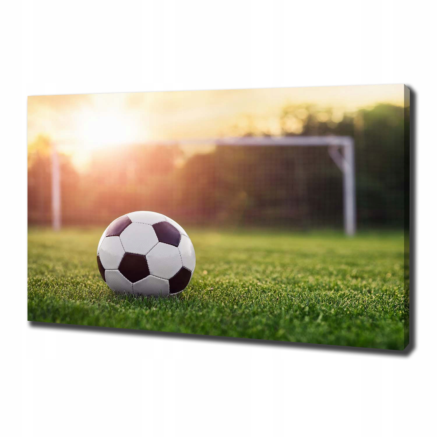 

Foto obraz canvas na ścianę Piłka nożna 100x70 cm