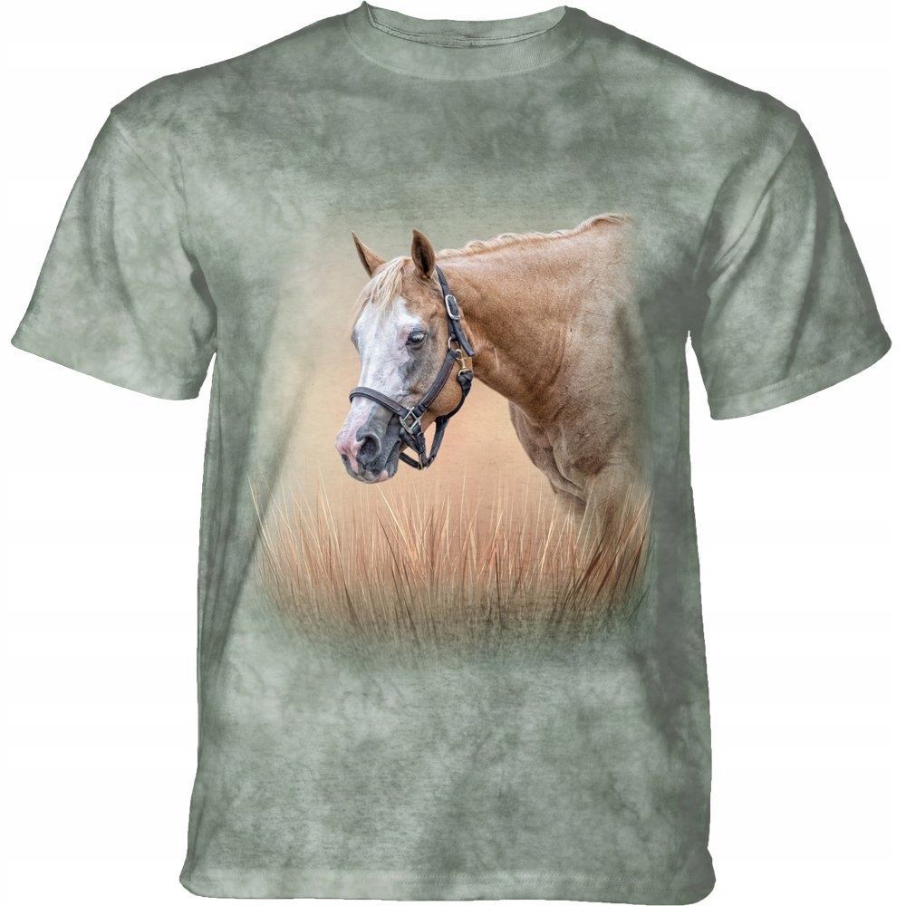 Kůň Gentle Spirit The Mountain XL