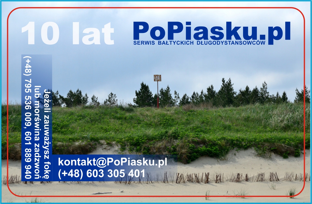 Czapka polarowa PoPiasku.pl Cechy polarowa