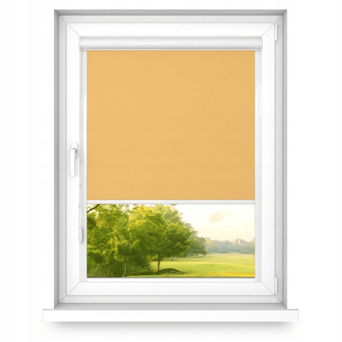 Roleta v Aluminiové kazetě s vodítky 40x210