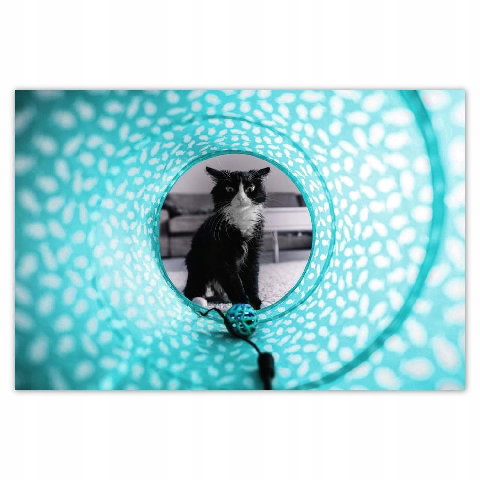 

Plakat 93x62 Przyczajka