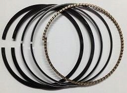 PIERŚCIENIE BRIGGS QUANTUM 790360, 791098 07-01015