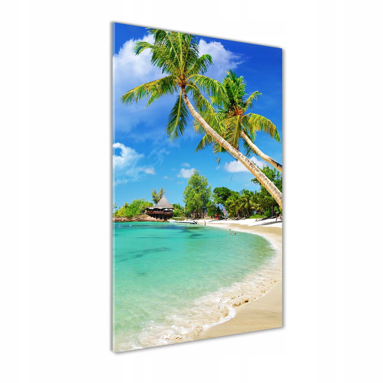 

Foto obraz szkło akrylowe Tropikalna plaża 50x100
