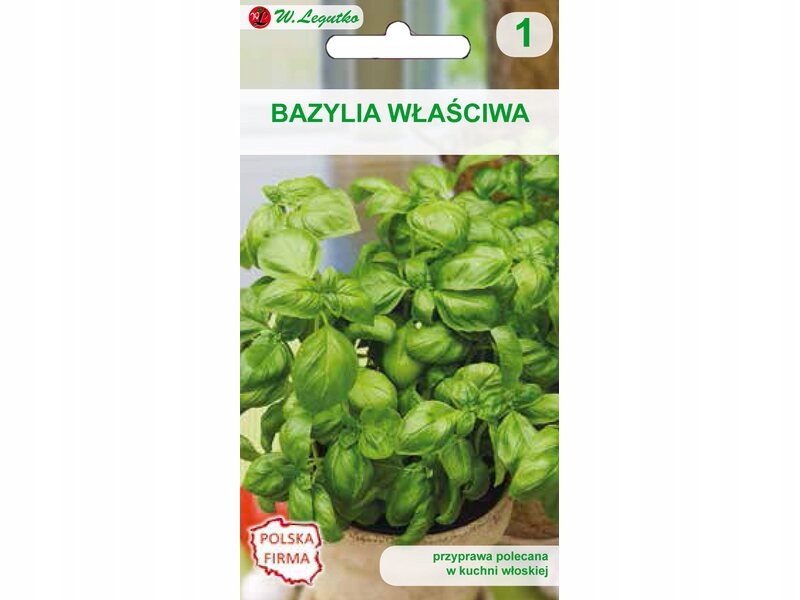 NASIONA BAZYLII WŁAŚCIWEJ 1G LEGUTKO