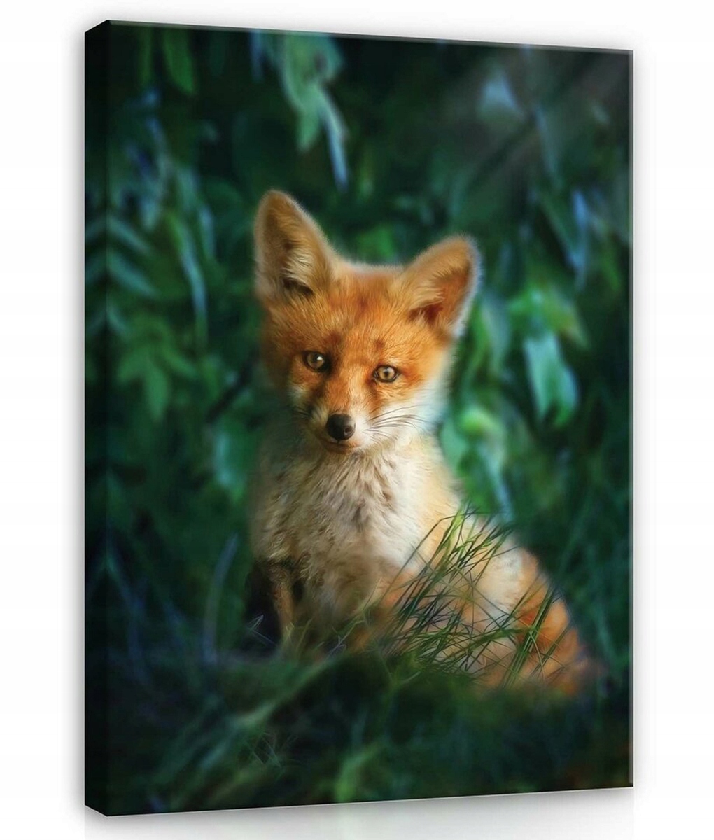 Obraz Na Plátně Canvas 60x80 Rudý Lišák Liška