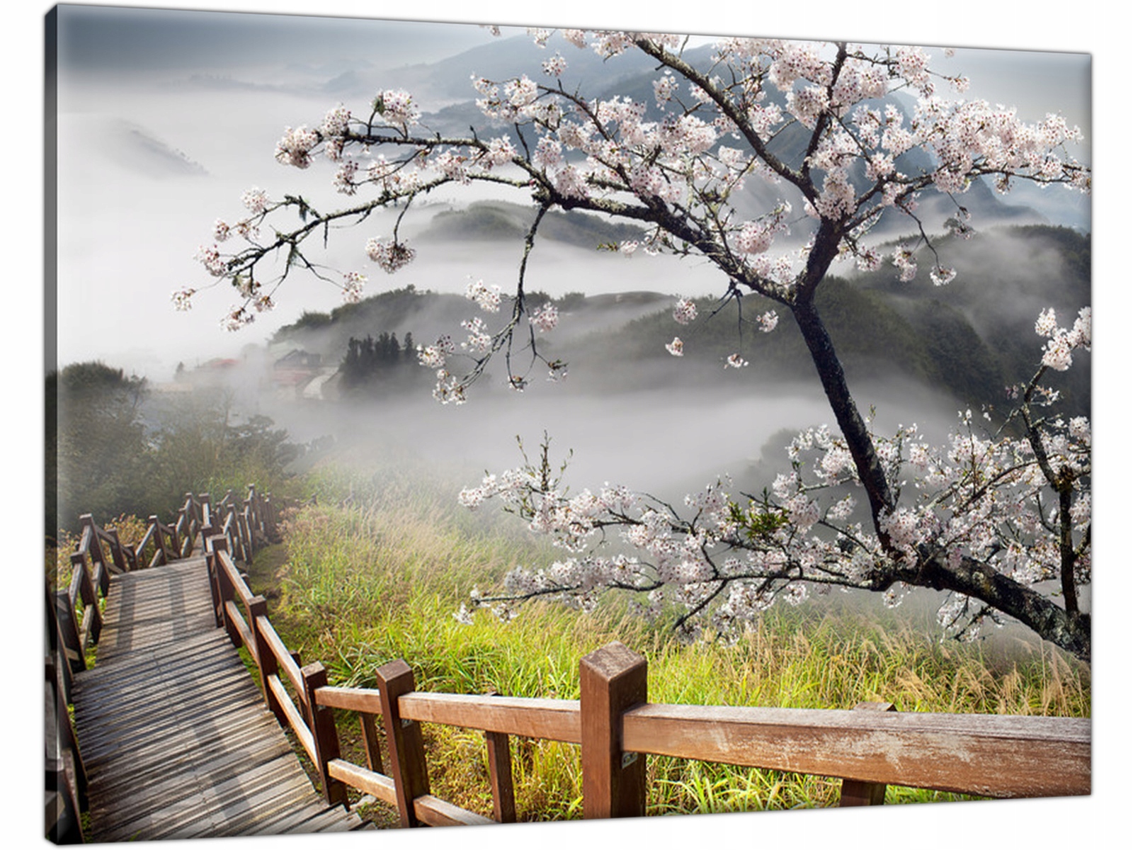 

Kwitnąca wiśnia Góry 70x50 Piękny Pejzaż Obraz