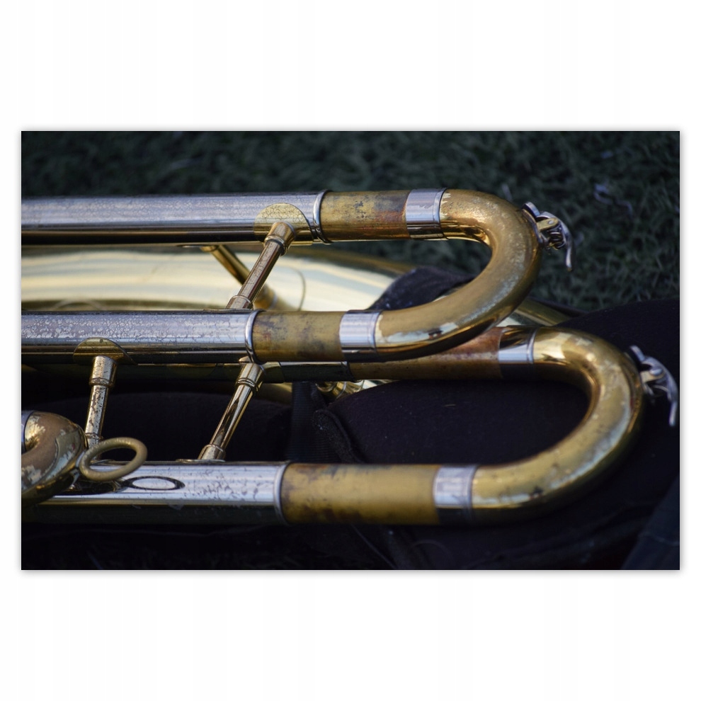 

Plakaty 93x62 Trąbka