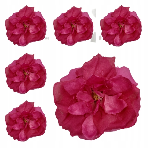 

Piwonia Główka Wyrobowa peonia 6szt