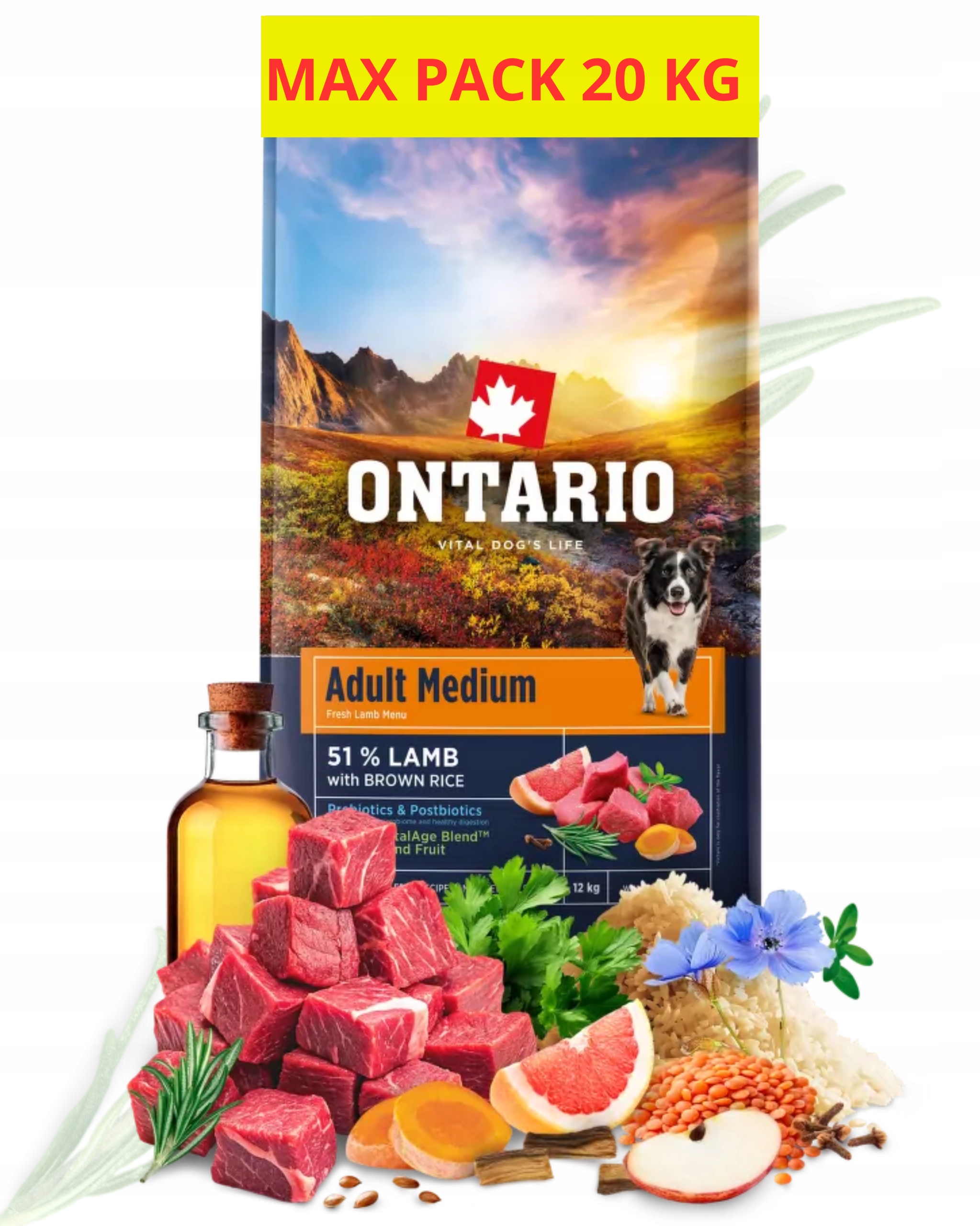 Ontario 20kg Adult Medium Lamb