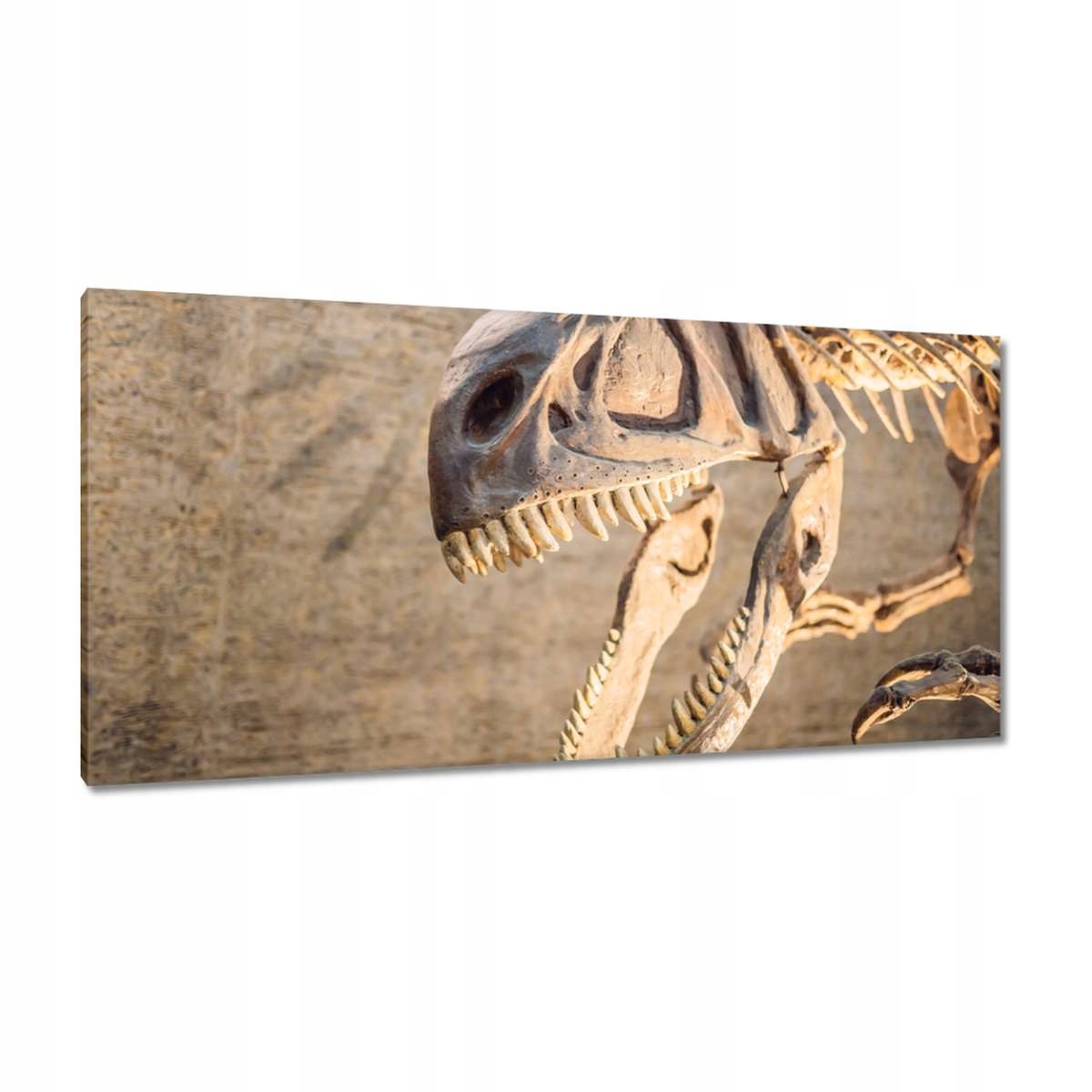 Obrazy 115x55 Kostra dinosaura