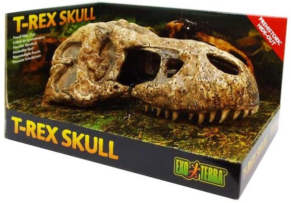 Levně Nevšední Ozdoba Terária Lebka Dinosaura