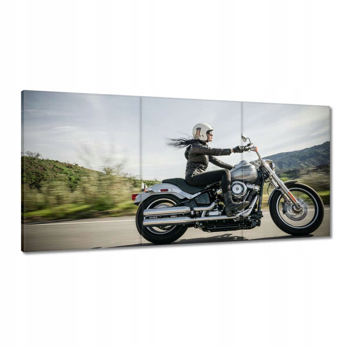 Obrazy 180x90 Harley Davidson Motocykel