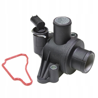 80199 - ТІЛО НАРОДЖЕННЯ, СИСТЕМА ОХОЛОДЖЕННЯ, ОПЦІОНАЛЬНО З TERM