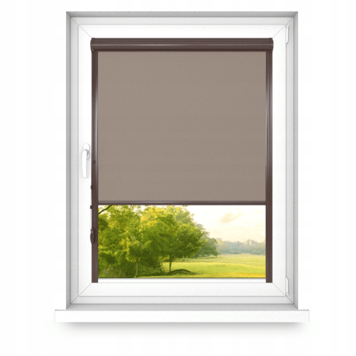 Roleta v Aluminiové kazetě s vodítky 40x150