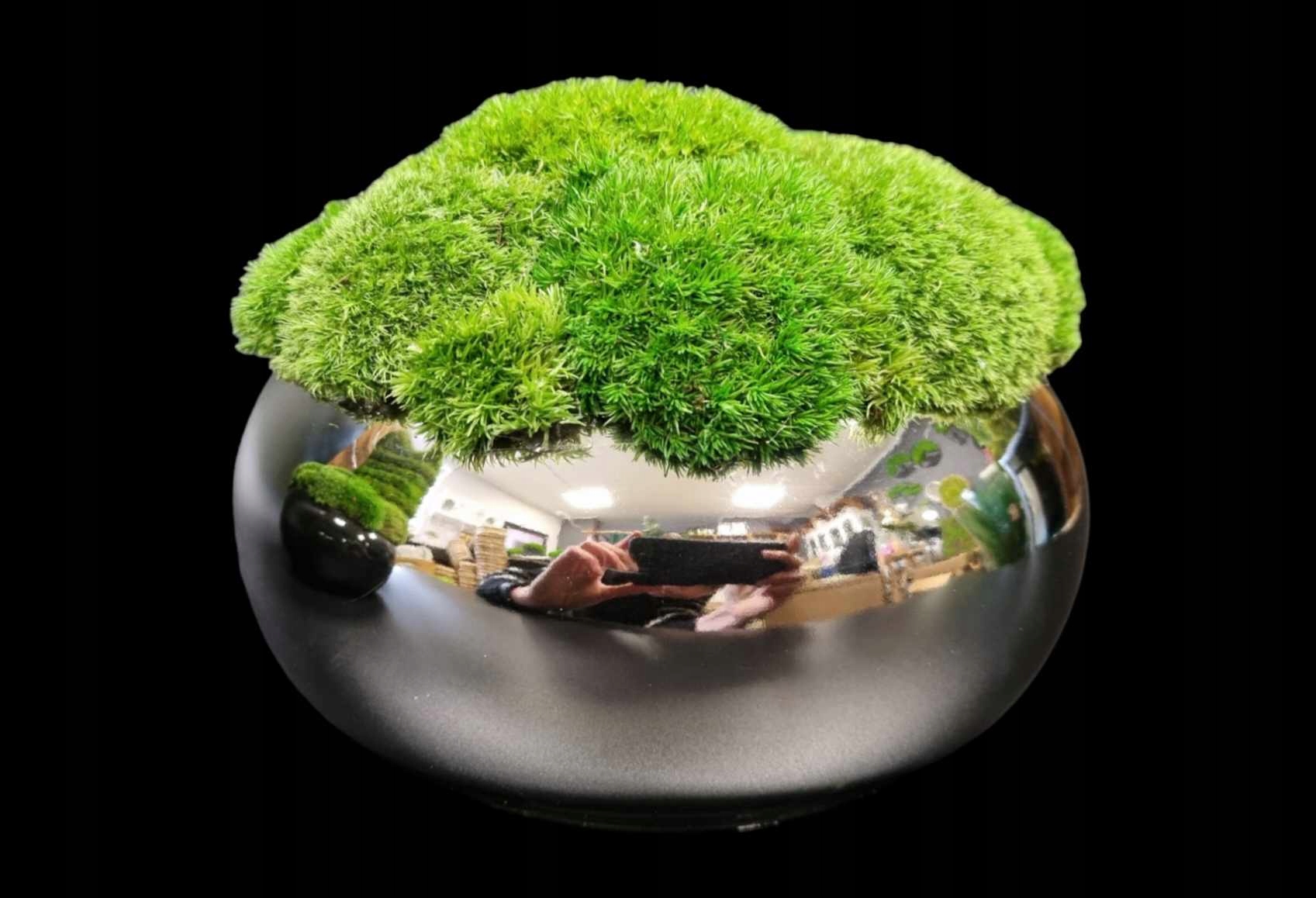 KOMPOZYCJA Z MCHU Marka bez marki