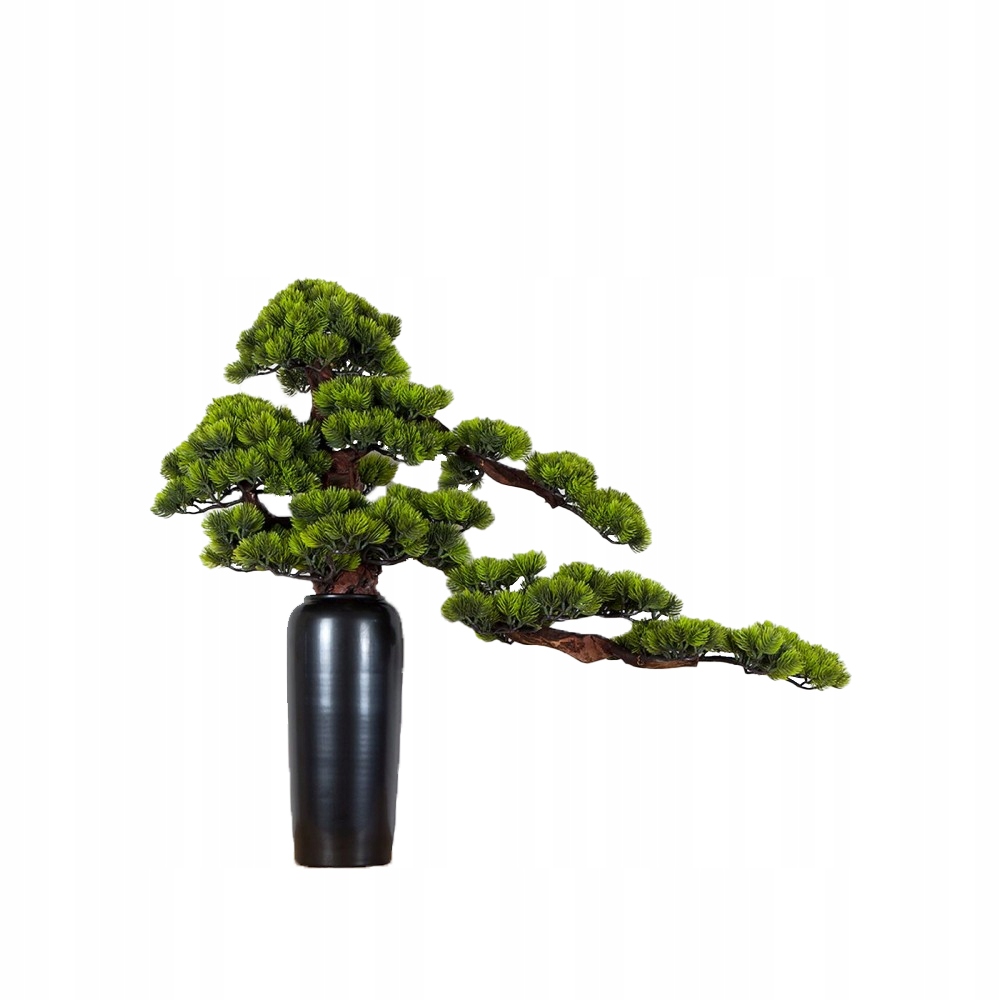 Pokojová dekorativní bonsai ve váze Borovice (PN-23)