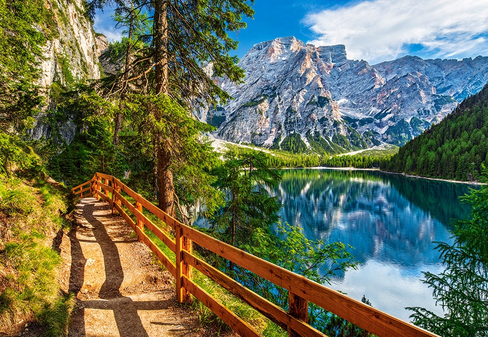

Puzzle Krajobraz Góry Las Staw 1000 Castor