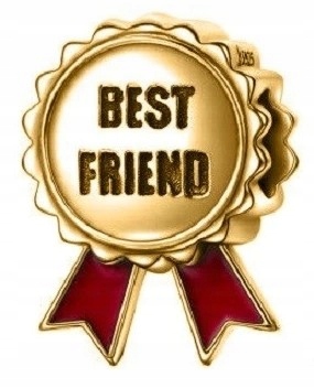 Zlatý přívěsek Best Friends stříbro 925