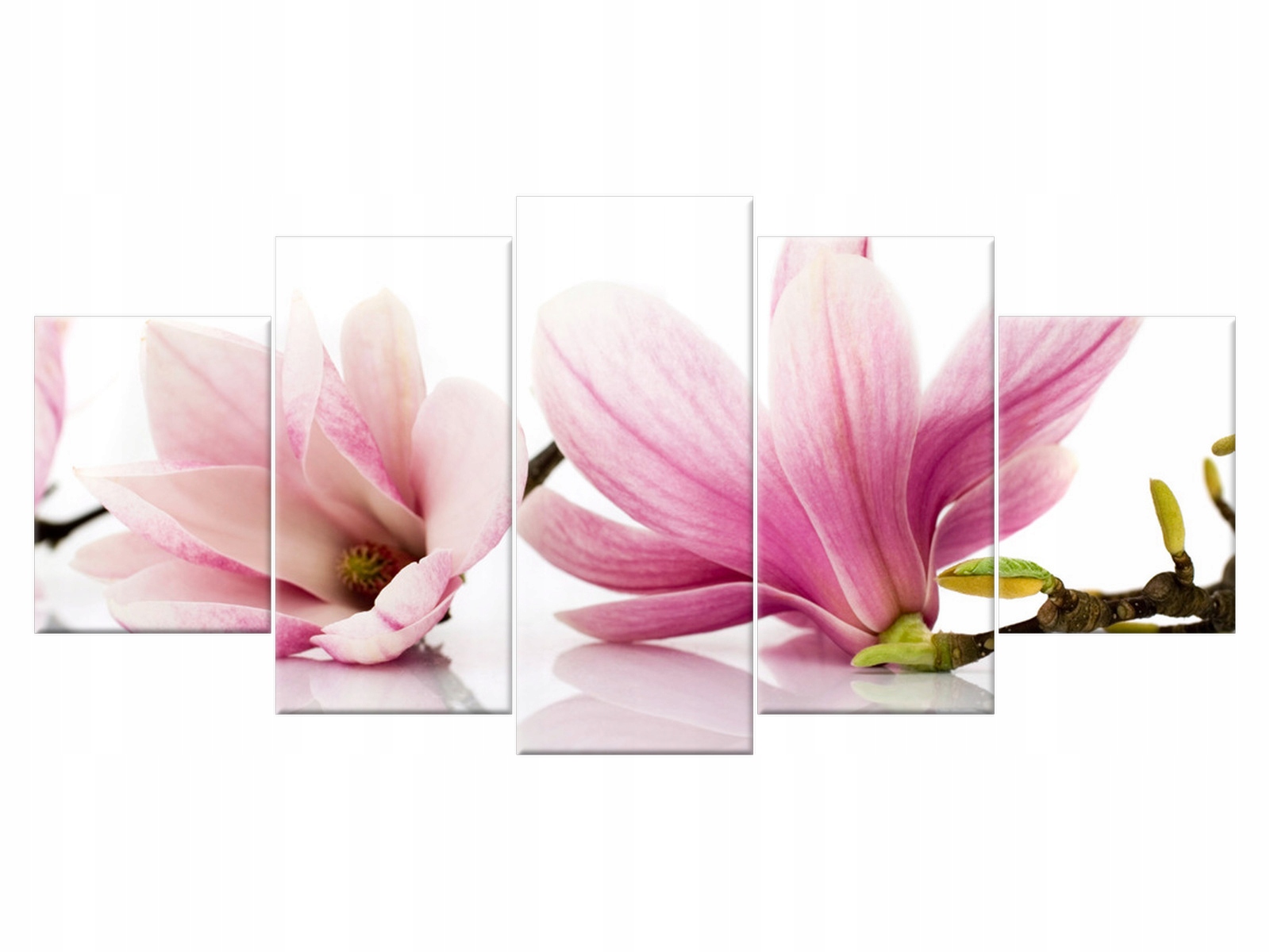 

Obraz Różowe magnolie 150x70 Kwiaty 1179A_5B
