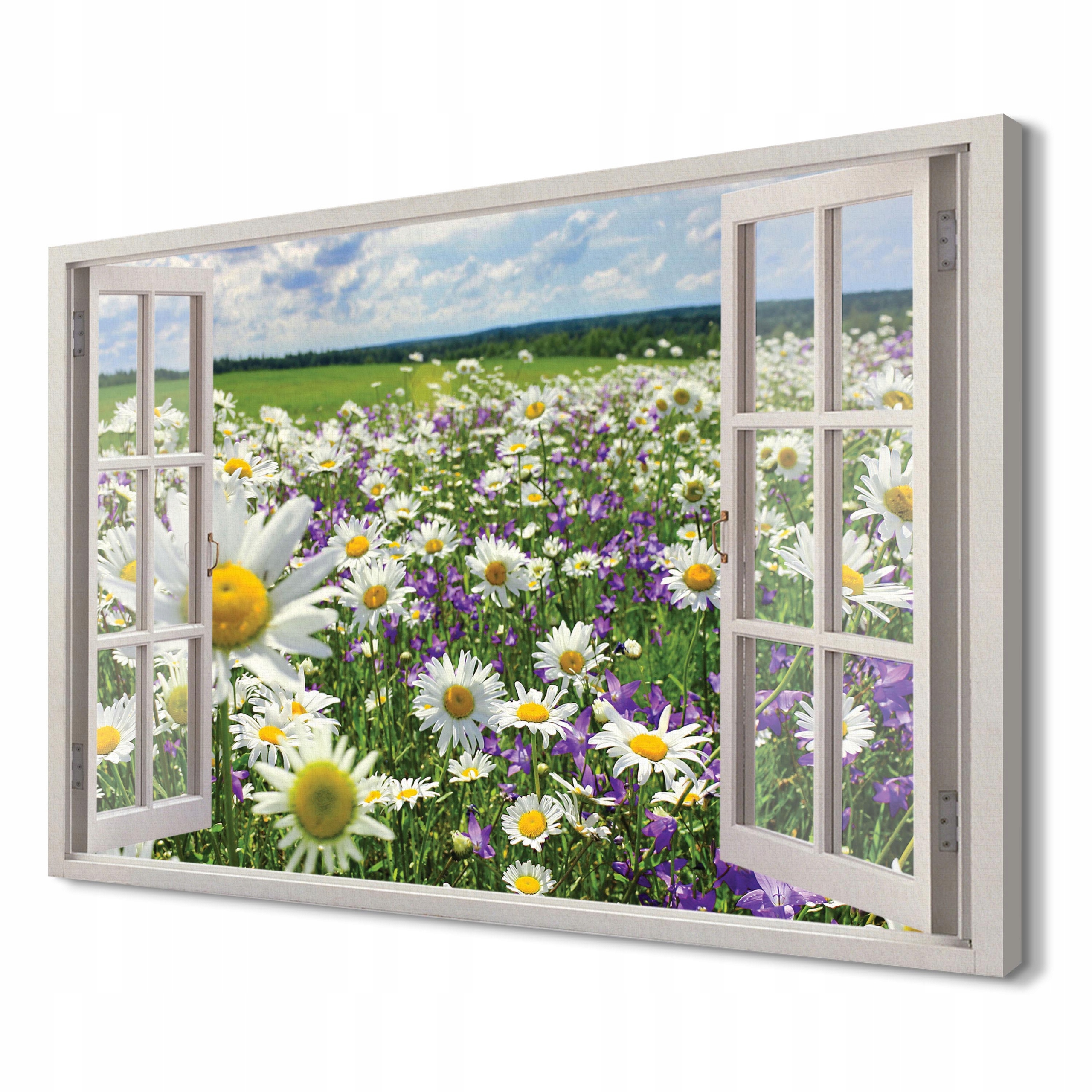 

Łąki i kwiaty Druk na płótnie 3d 120x80 do biura