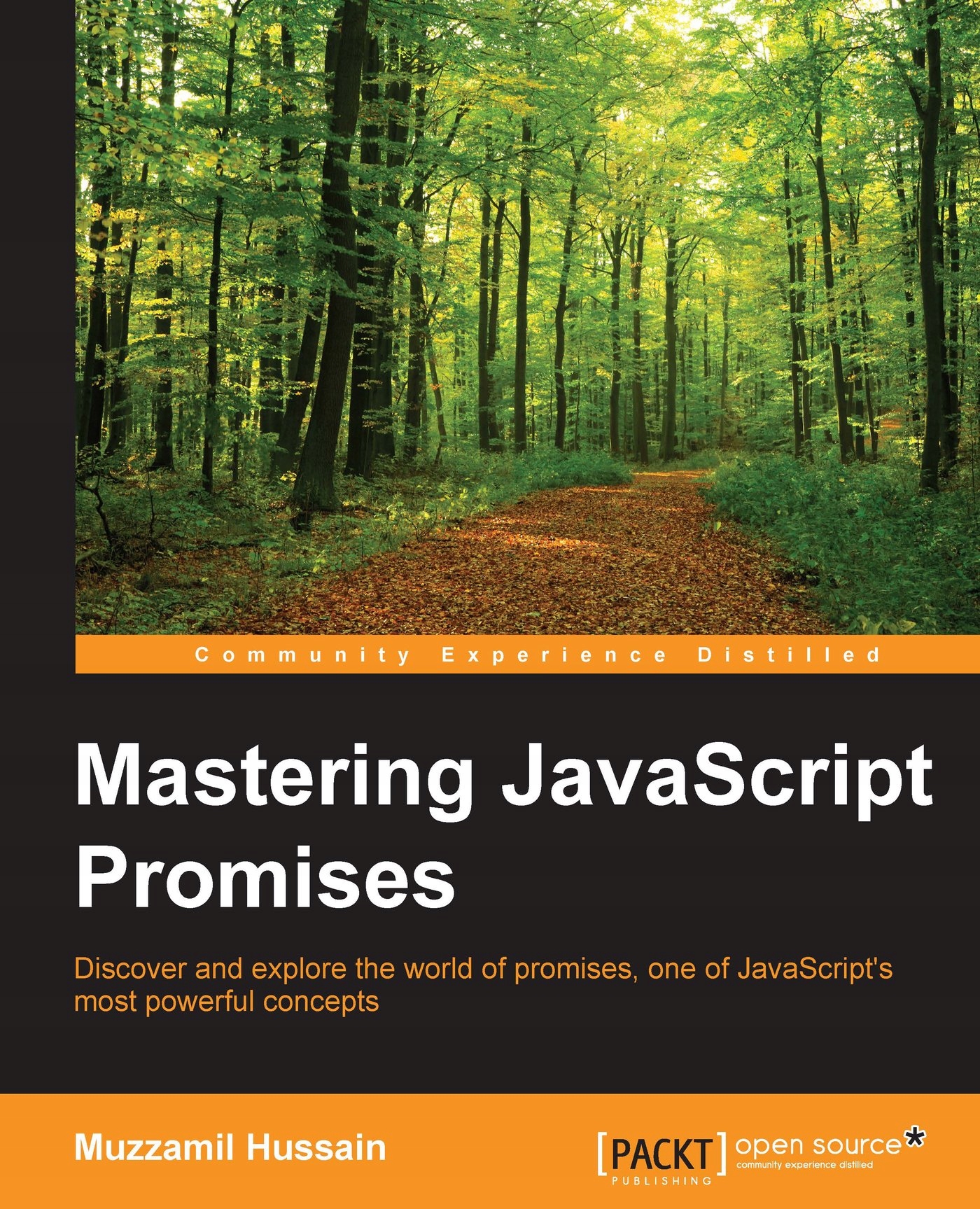 Mastering JavaScript Promises - ebook