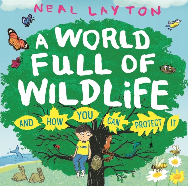 Eco Explorers: A World Full of Wildlife: and how