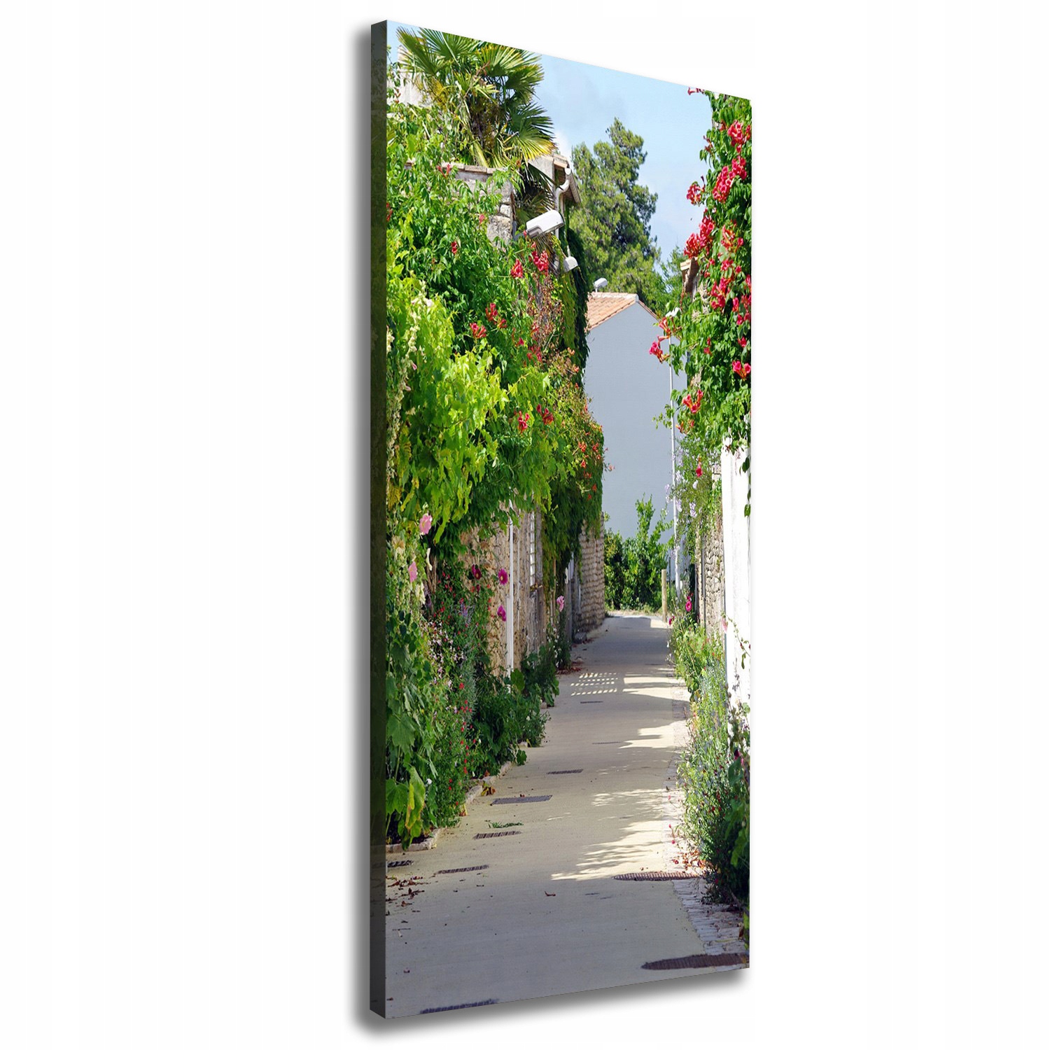 

Foto obraz na płótnie Francuskie uliczki 50x125 cm