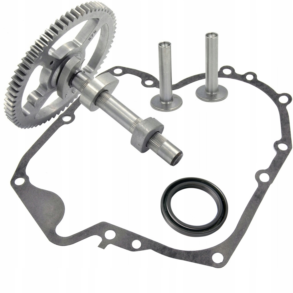 

Wałek Rozrządu Briggs 10,5-19 793583 790400 Zestaw