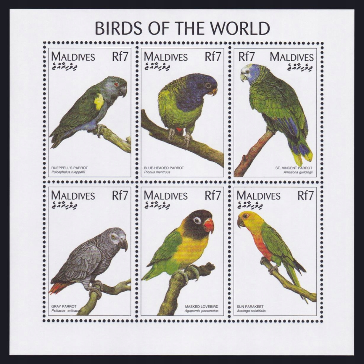 MALDIVES - PTAKI - 1997 r. - MNH(**)