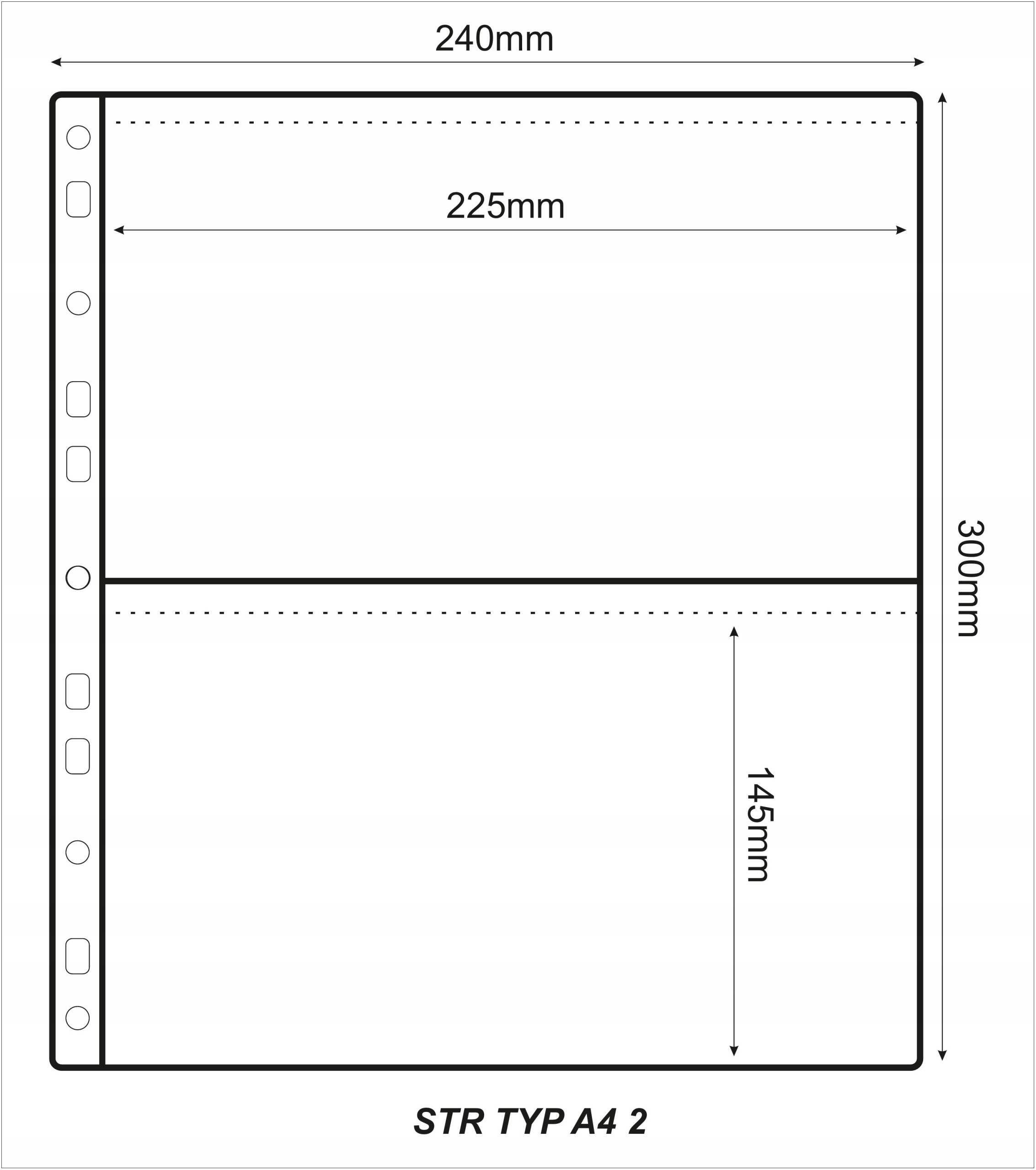 STRONA NA BANKNOTY ZNACZKI TYP 2 A4 SCHULZ –10 SZT