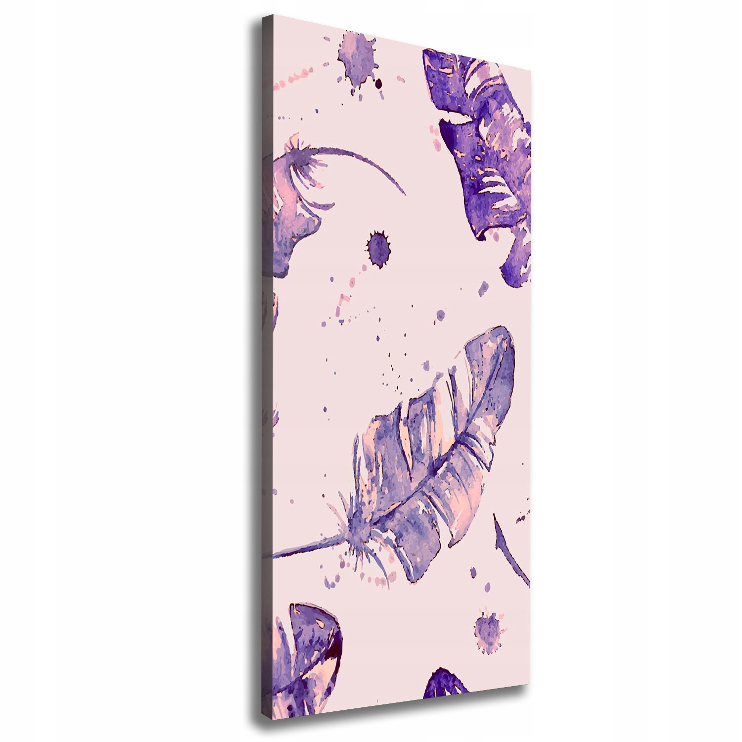 

Nowoczesny fotoobraz canvas na ramie Pióra 50x125