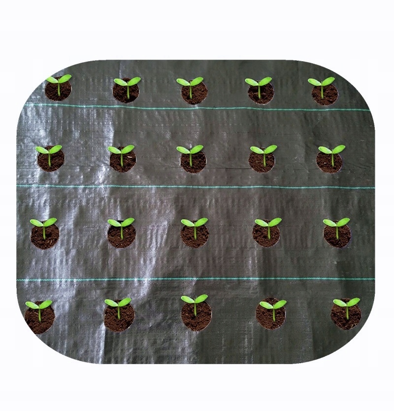 

Agrotkanina Otwory pod sadzonki 1,6 x 5m Gruba 95g