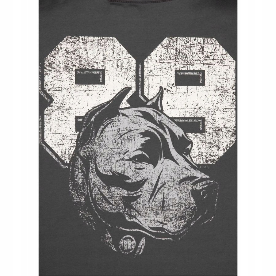 KOSZULKA MĘSKA PIT BULL T-SHIRT PODKOSZULEK NA CO DZIEŃ PITBULL SPORTOWA Kolor szary