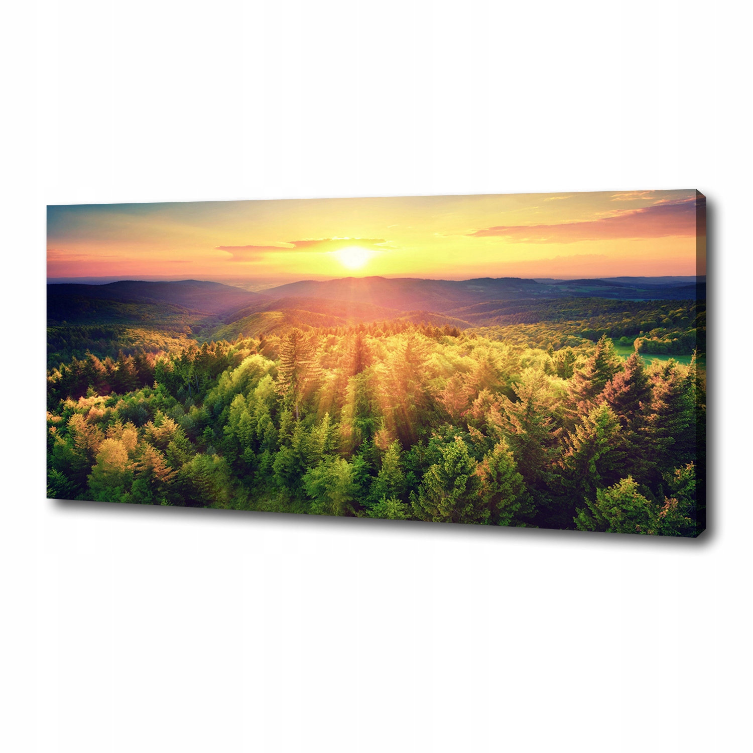 

Foto obraz na płótnie Las zachód słońca 125x50 cm