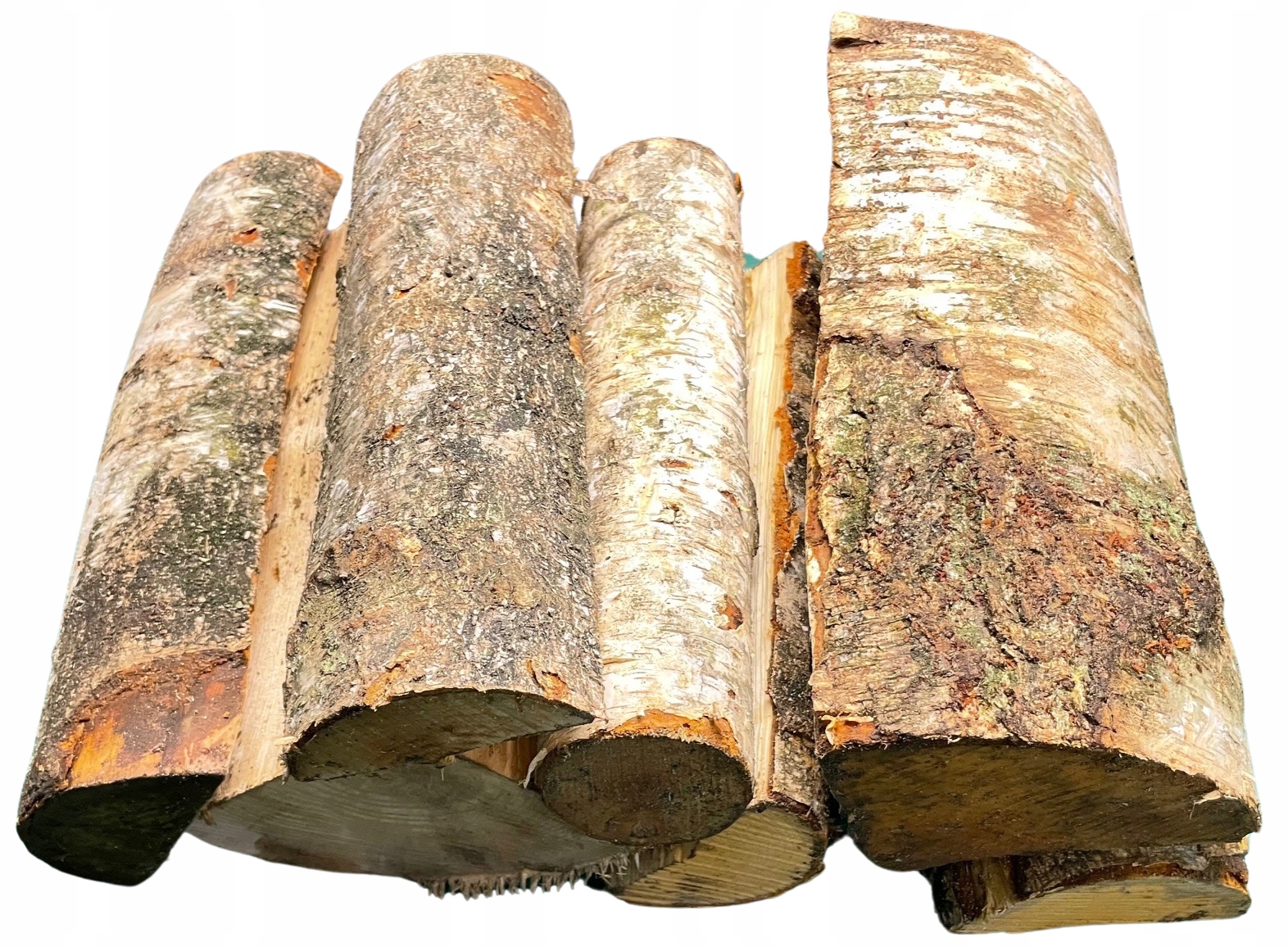 Drewno na ognisko grill opał kominka sezonowane BRZOZA 10kg Rodzaj drewna brzoza