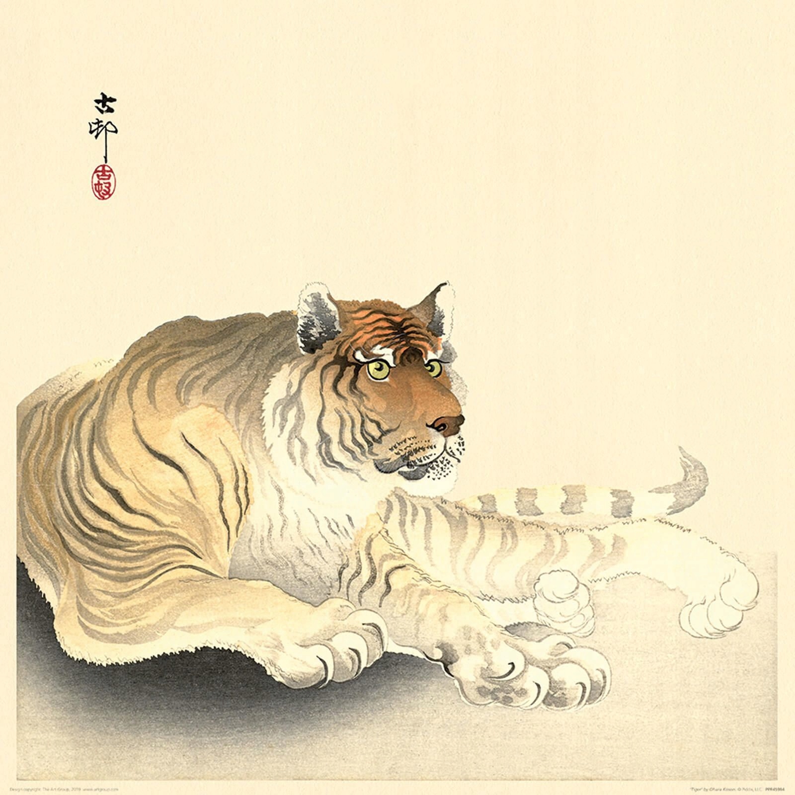 

Ogromny Tygrys Tiger reprodukcja obrazu 40x40 cm