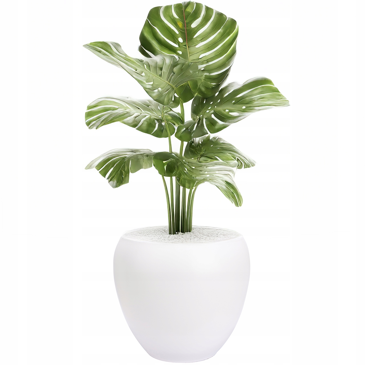 Květináč Velká 27 cm velká bílá pro palmu monstery obal na květináč na terasu