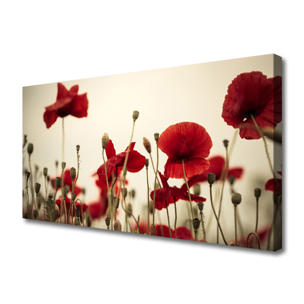 

Obraz na Płótnie Maki Przyroda Canvas Foto 100x50