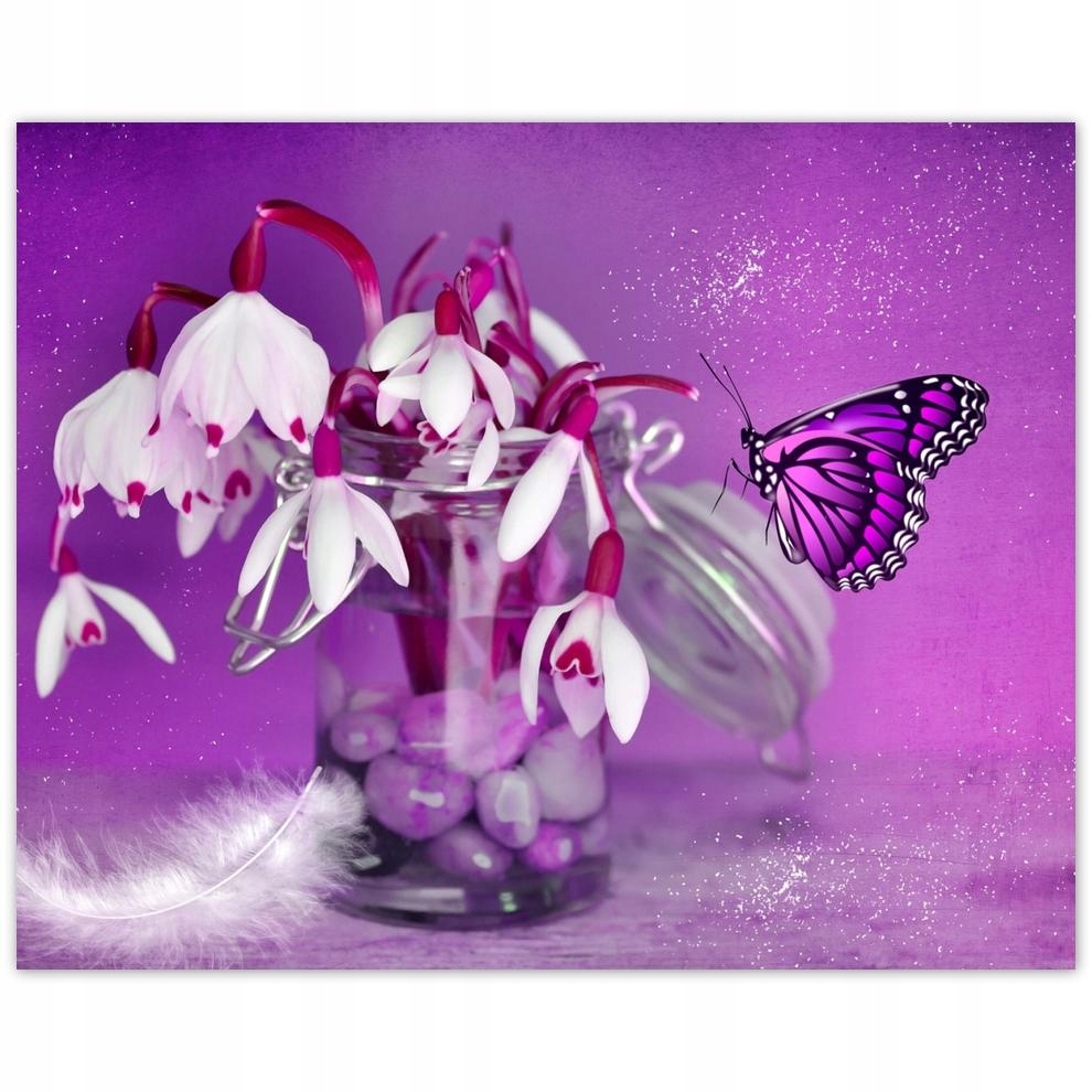 

Plakat 50x40 Przebiśniegi i motylek