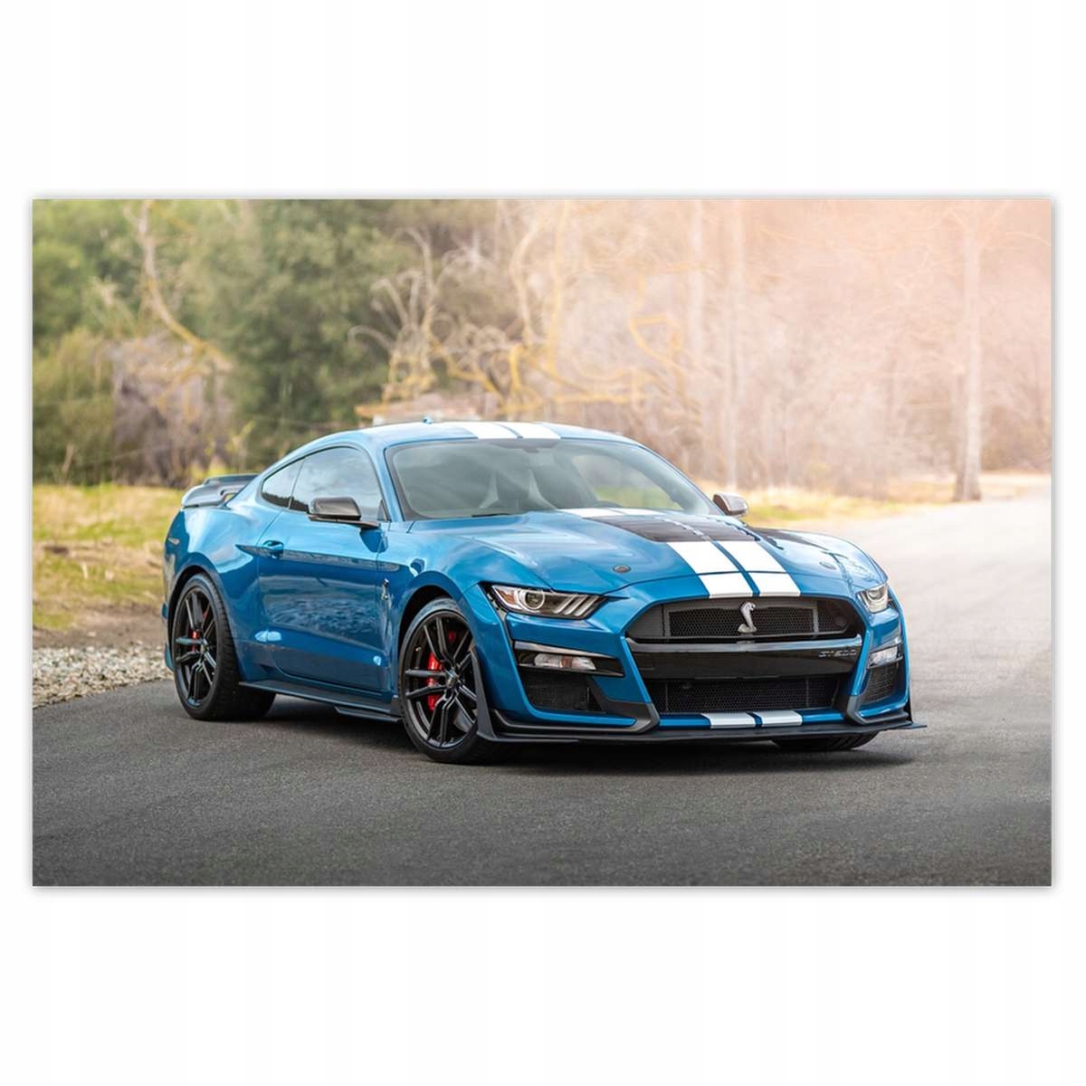 Plakáty 200x135 Modrý Ford Mustang